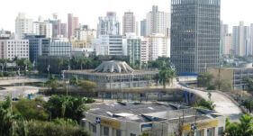 Dedetizadora santo andré